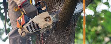 Lawn Drainage Solutions in Chamblee, GA